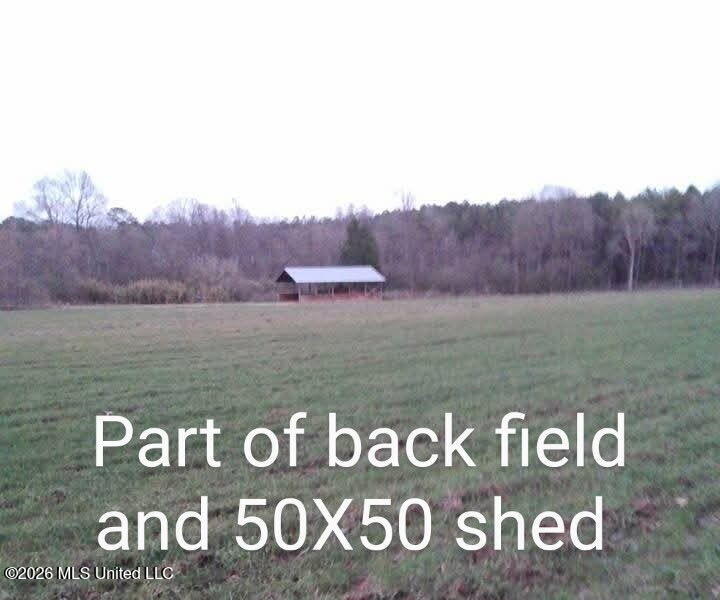 1265 Vfw Road Lake, MS 39092 - Photo 13 of 17 6969382362575527316