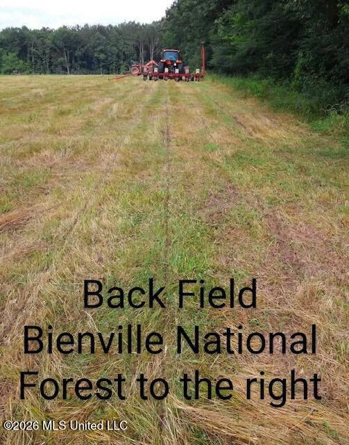 1265 Vfw Road Lake, MS 39092 - Photo 16 of 17 7596898327593098247