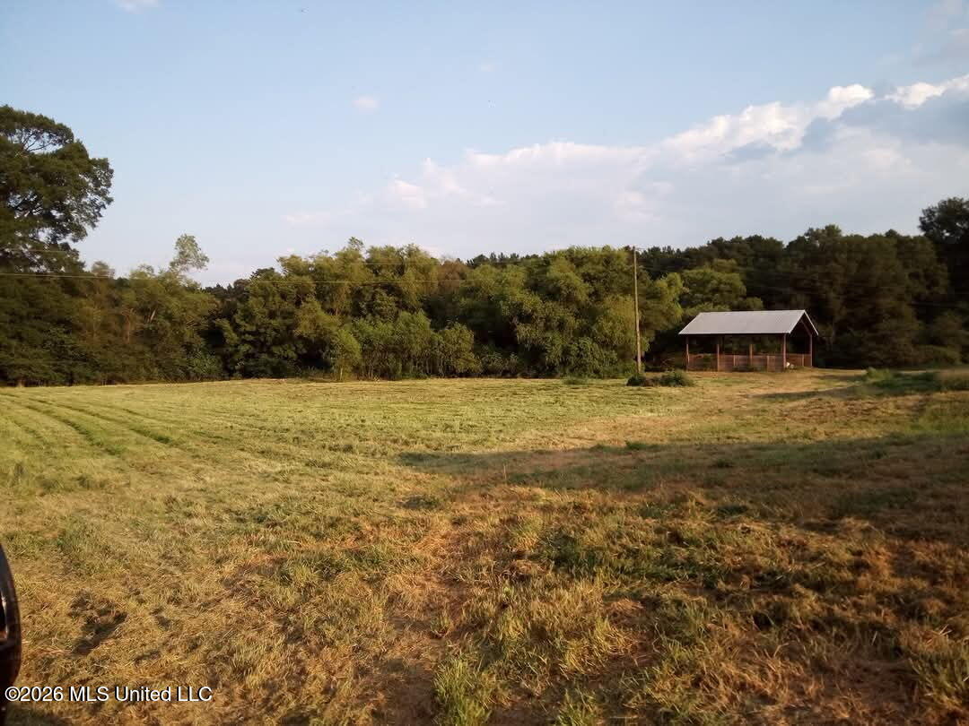 1265 Vfw Road Lake, MS 39092 - Photo 10 of 17 5609636666419177010