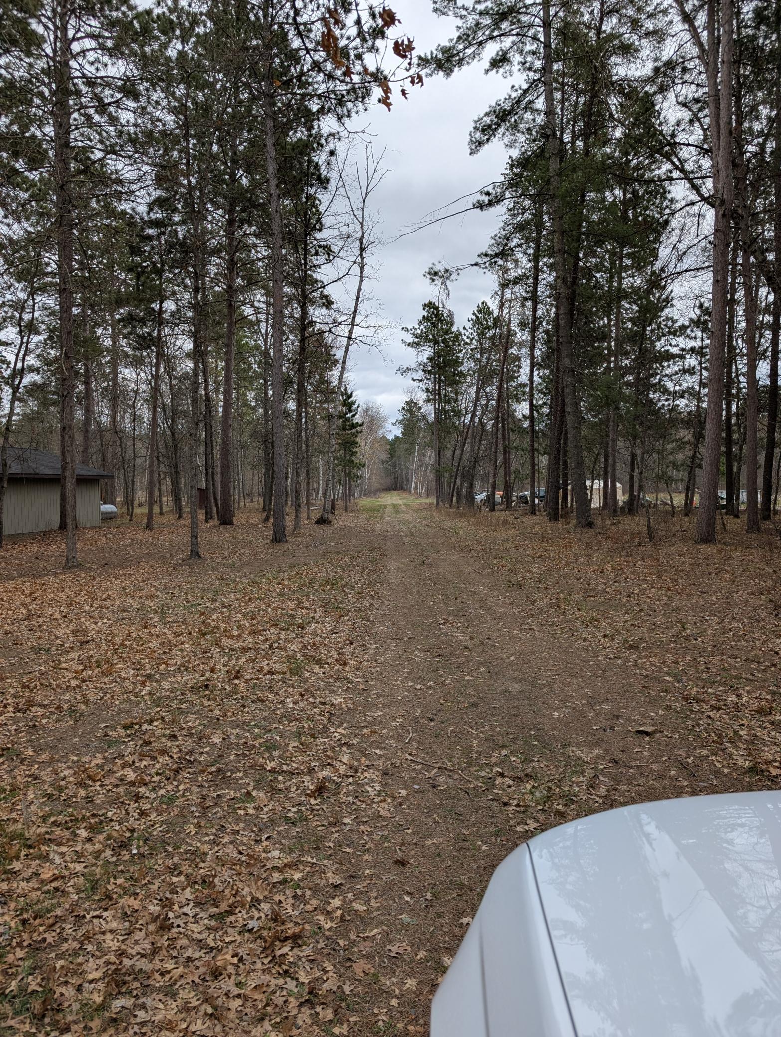 35546 Pine Terrace Road Crosslake, MN 56442 - Photo 2 of 9