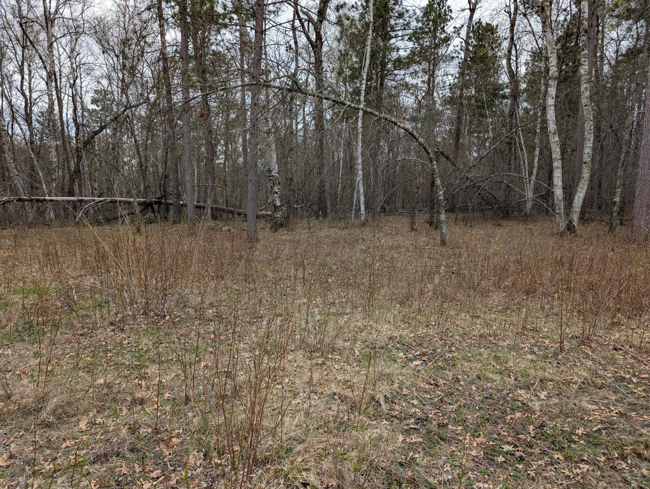 35546 Pine Terrace Road Crosslake, MN 56442 - Photo 6 of 9