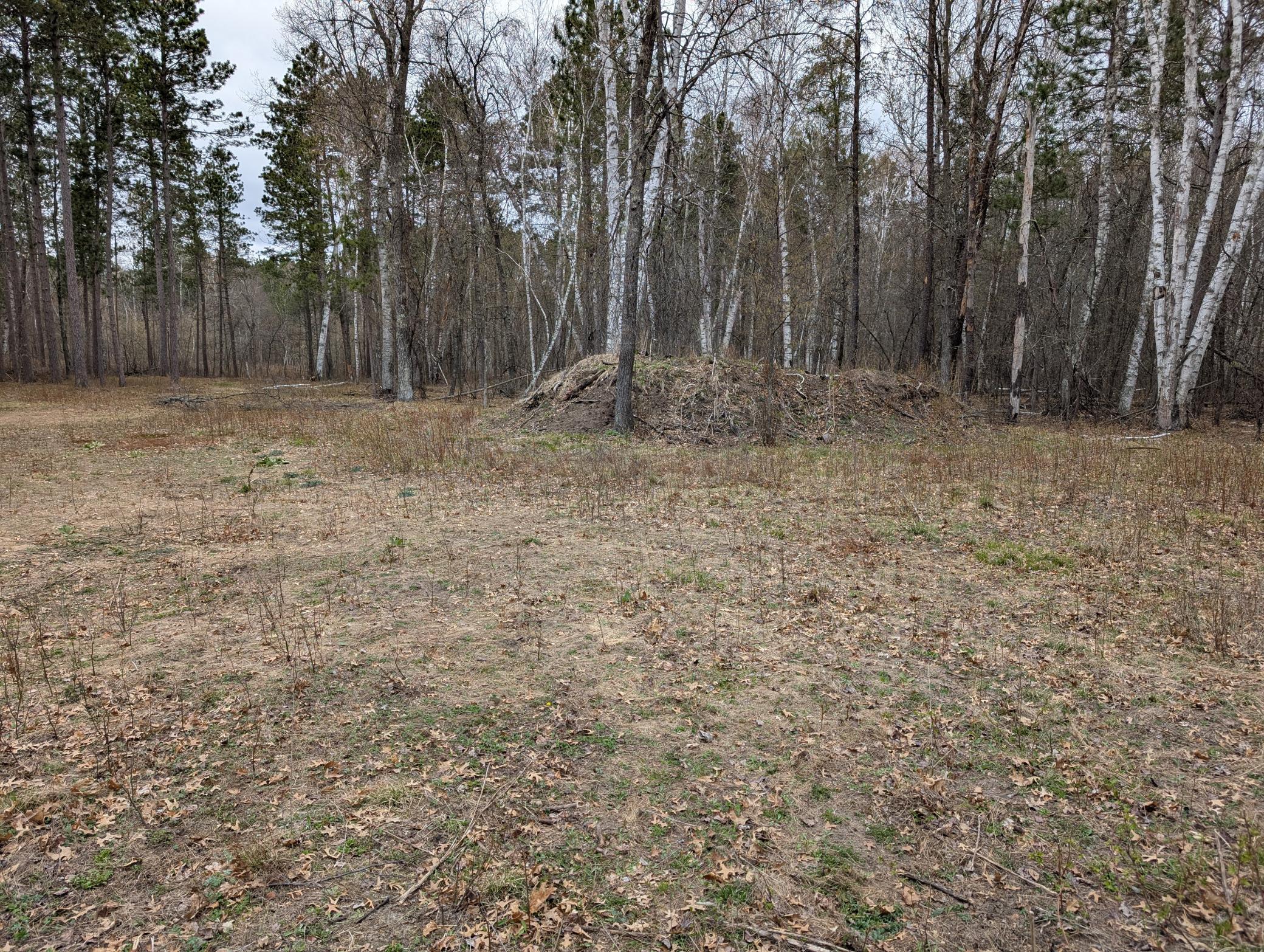 35546 Pine Terrace Road Crosslake, MN 56442 - Photo 8 of 9