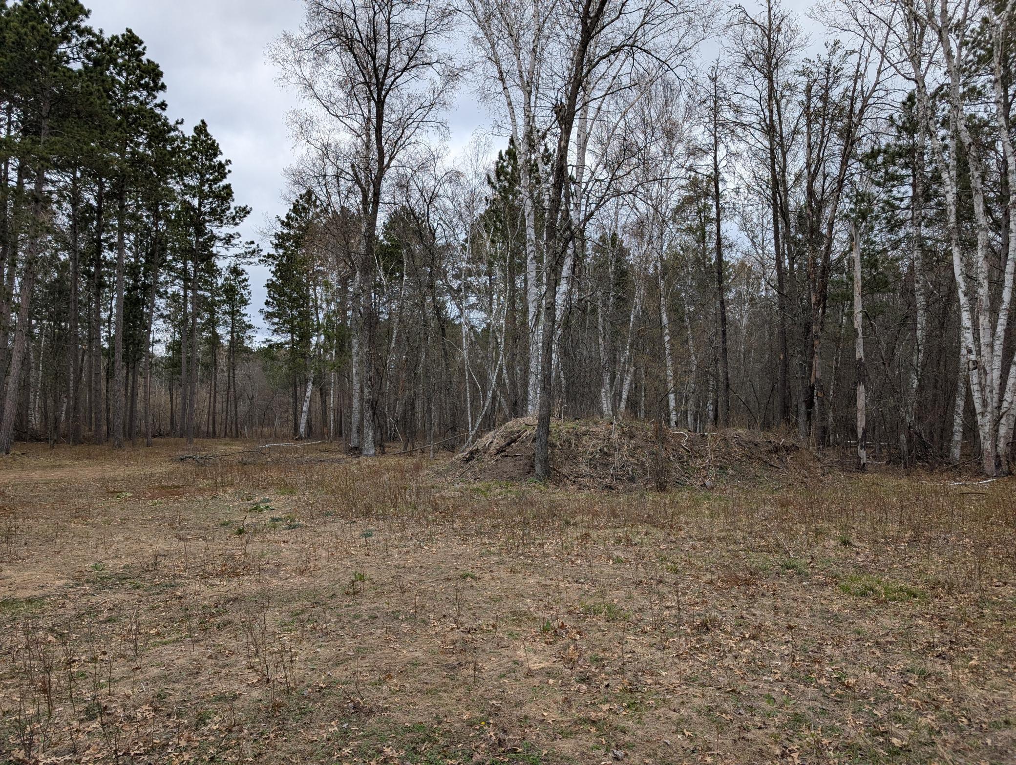 35546 Pine Terrace Road Crosslake, MN 56442 - Photo 9 of 9