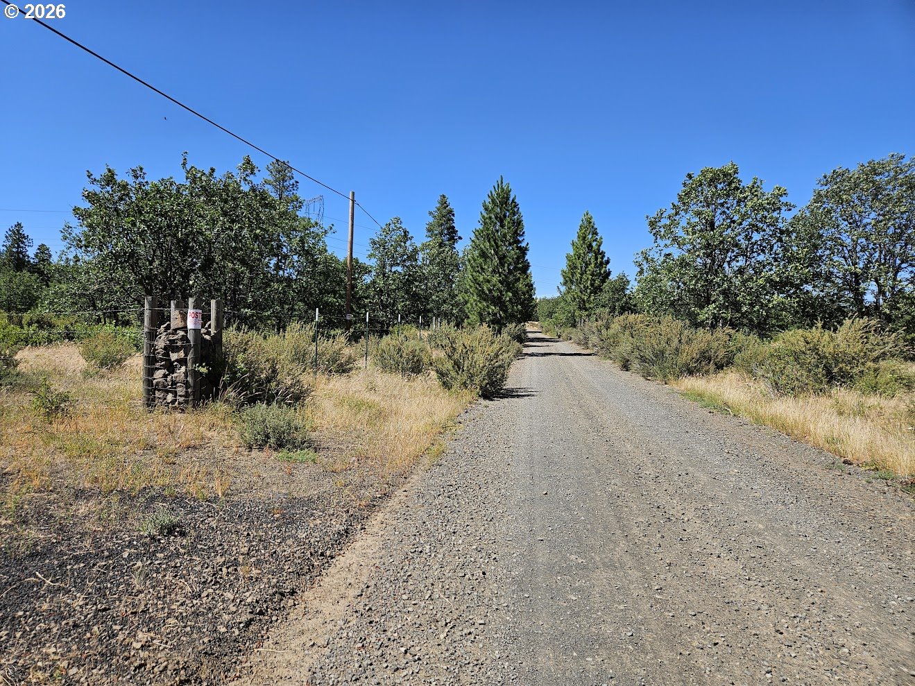 67 Timber Lane Roosevelt, WA 99356 - Photo 8 of 37 a view of a dry yard with trees