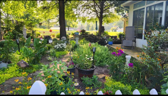 a view of swimming pool with lawn chairs and plants