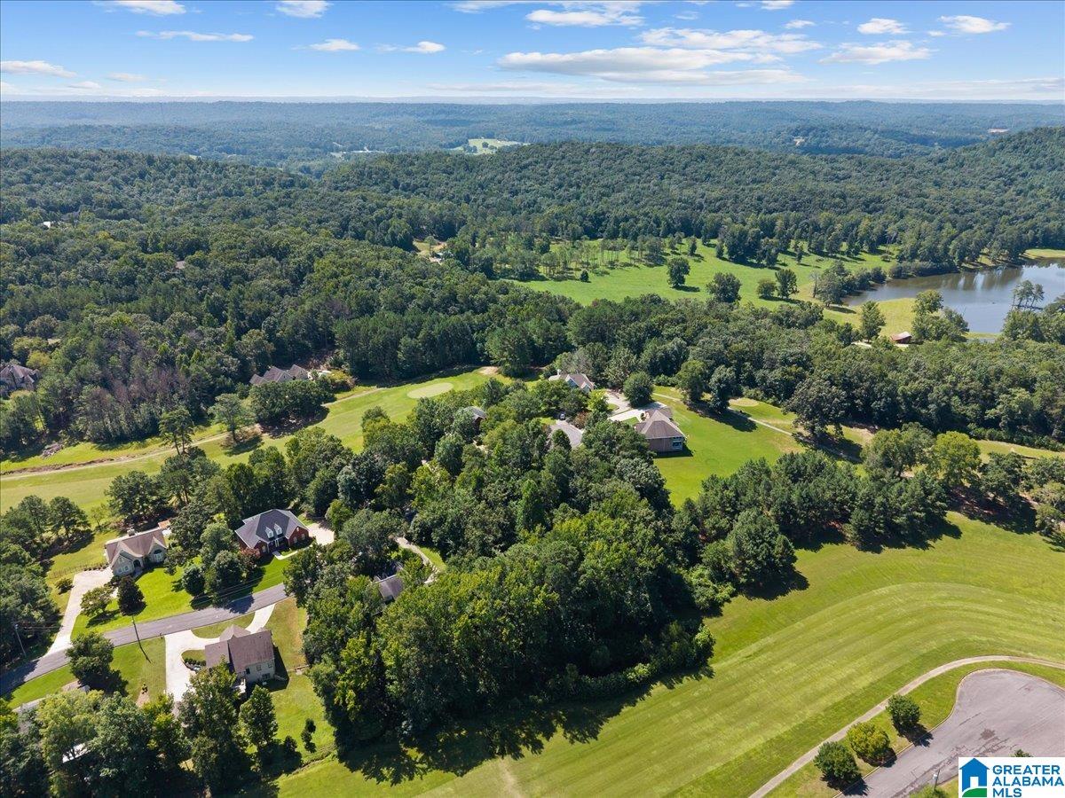 0 Quail Ridge Road, Unit 12A 13A Oneonta, AL 35121 - Photo 5 of 12 Gallery Image 5