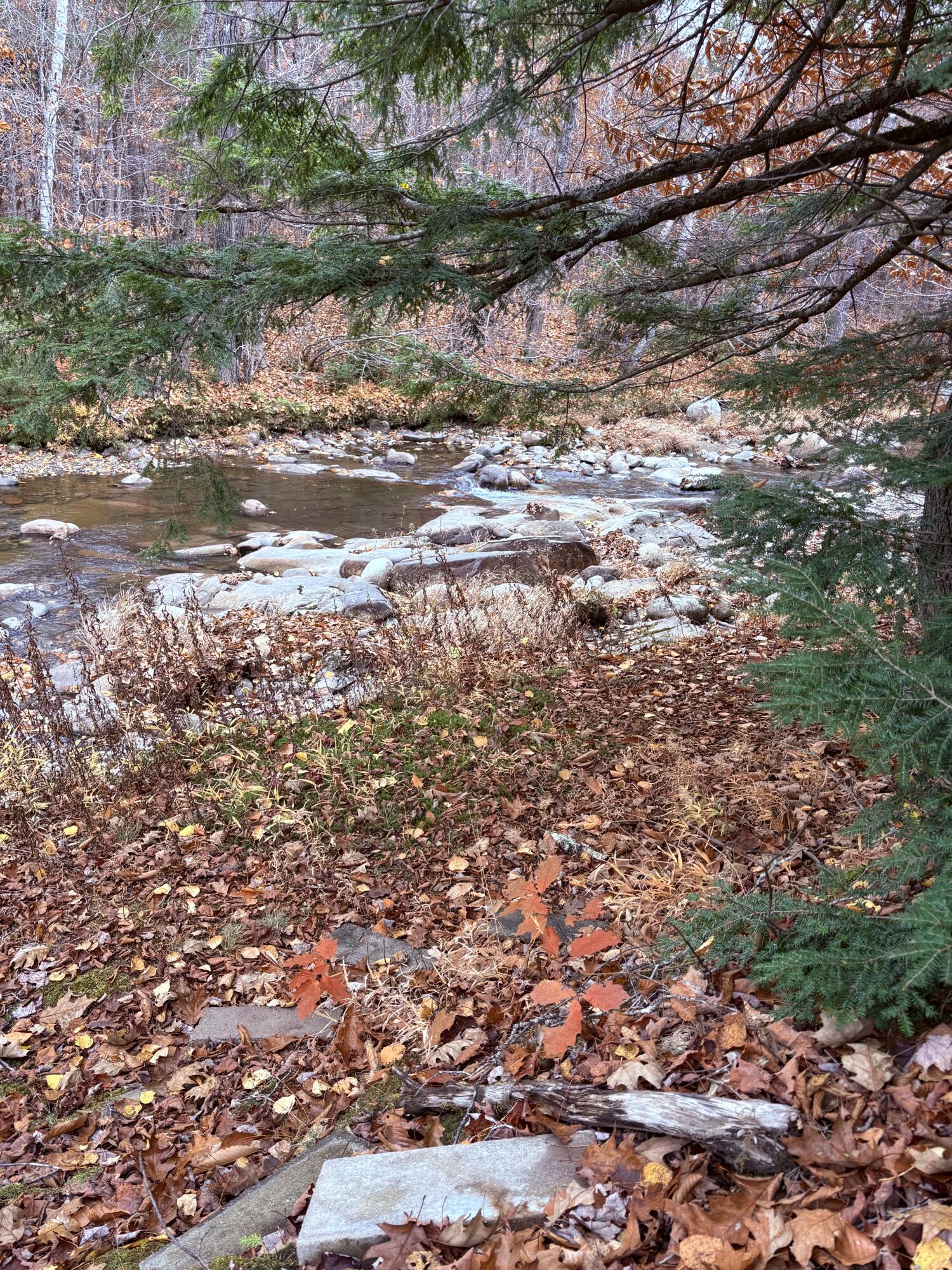 58 Jenkins Road Temple, ME 04984 - Photo 16 of 17 IMG_1302