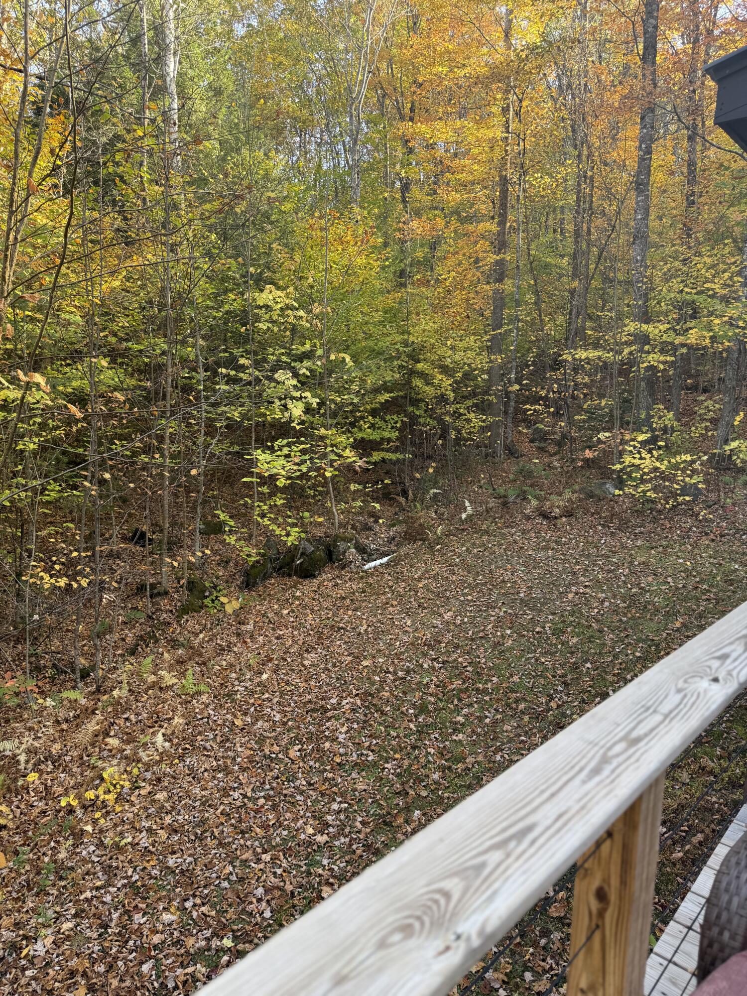 58 Jenkins Road Temple, ME 04984 - Photo 9 of 17 IMG_7389