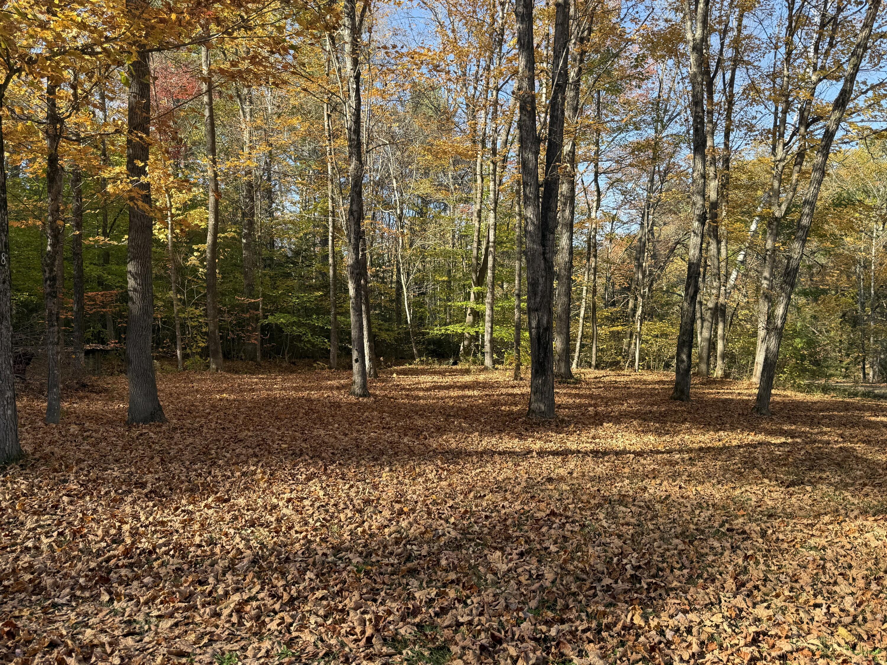 58 Jenkins Road Temple, ME 04984 - Photo 10 of 17 IMG_7382