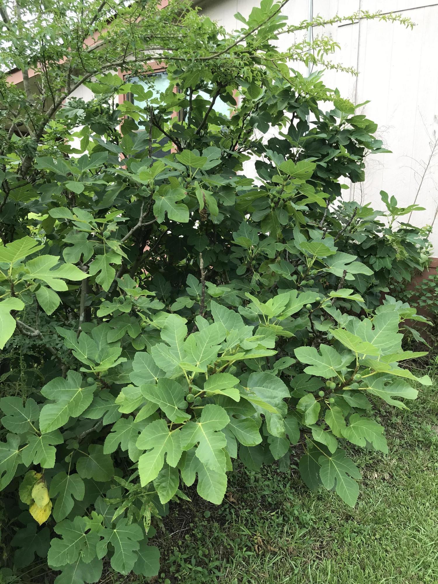 125 Haven Road Picayune, MS 39466 - Photo 9 of 41 IMG_3711