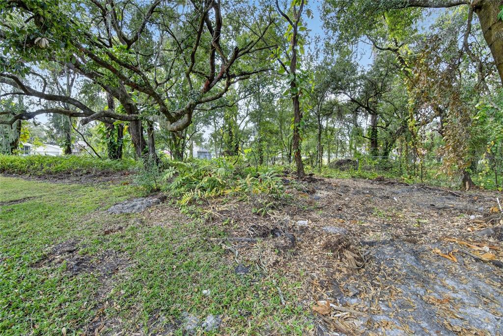 1113 South Wiggins Road Plant City, FL 33566 - Photo 39 of 39 Gallery Image 39