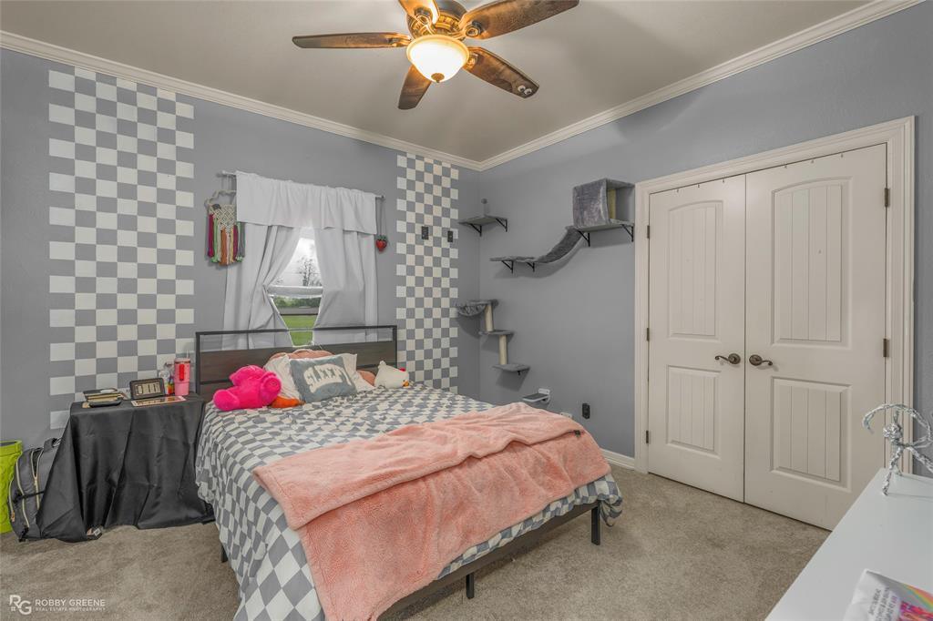 624 Holly Street Grand Cane, LA 71032 - Photo 21 of 40 Bedroom with light colored carpet, ceiling fan, crown molding, and a closet