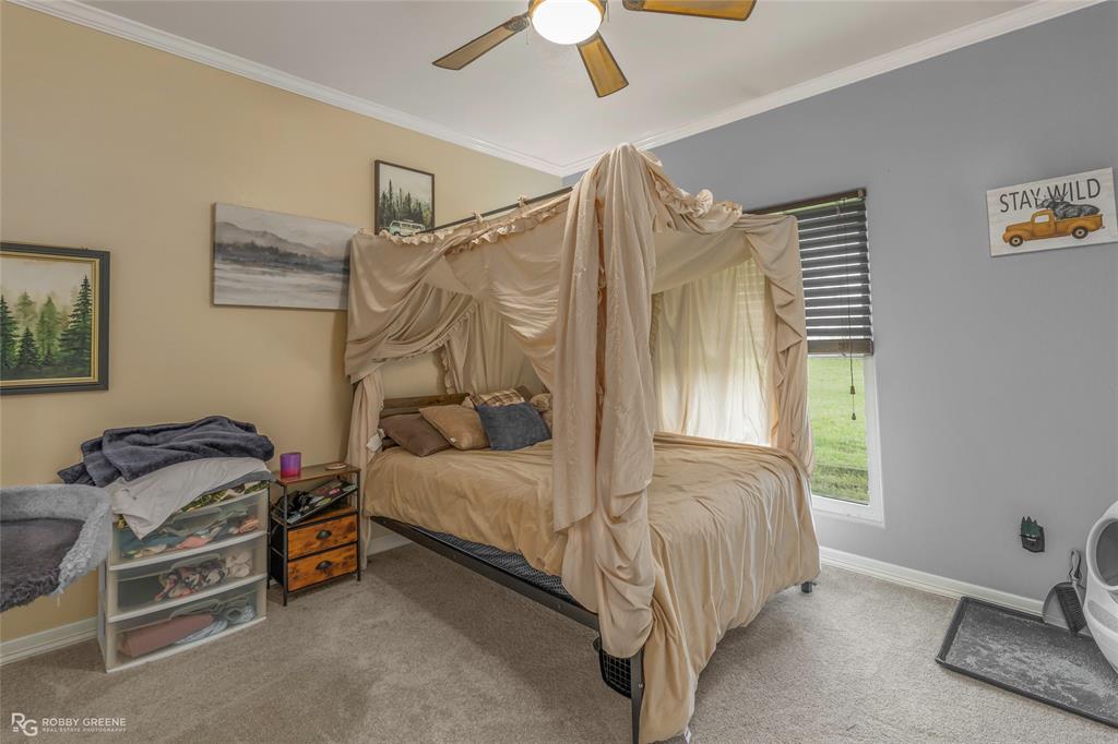 624 Holly Street Grand Cane, LA 71032 - Photo 23 of 40 Bedroom with light carpet, ornamental molding, and a ceiling fan