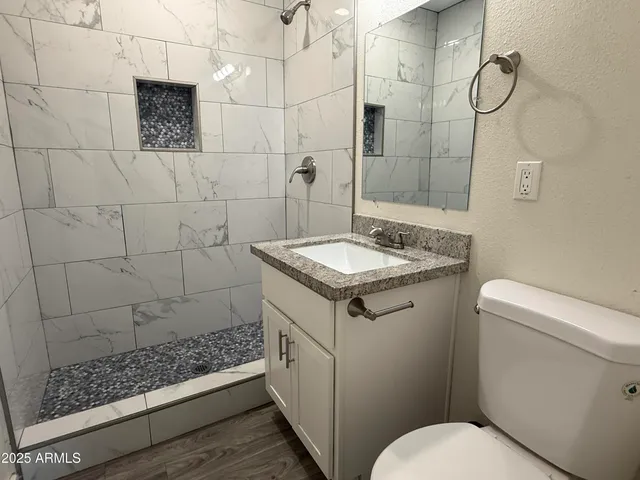 a bathroom with a granite countertop sink a toilet and shower
