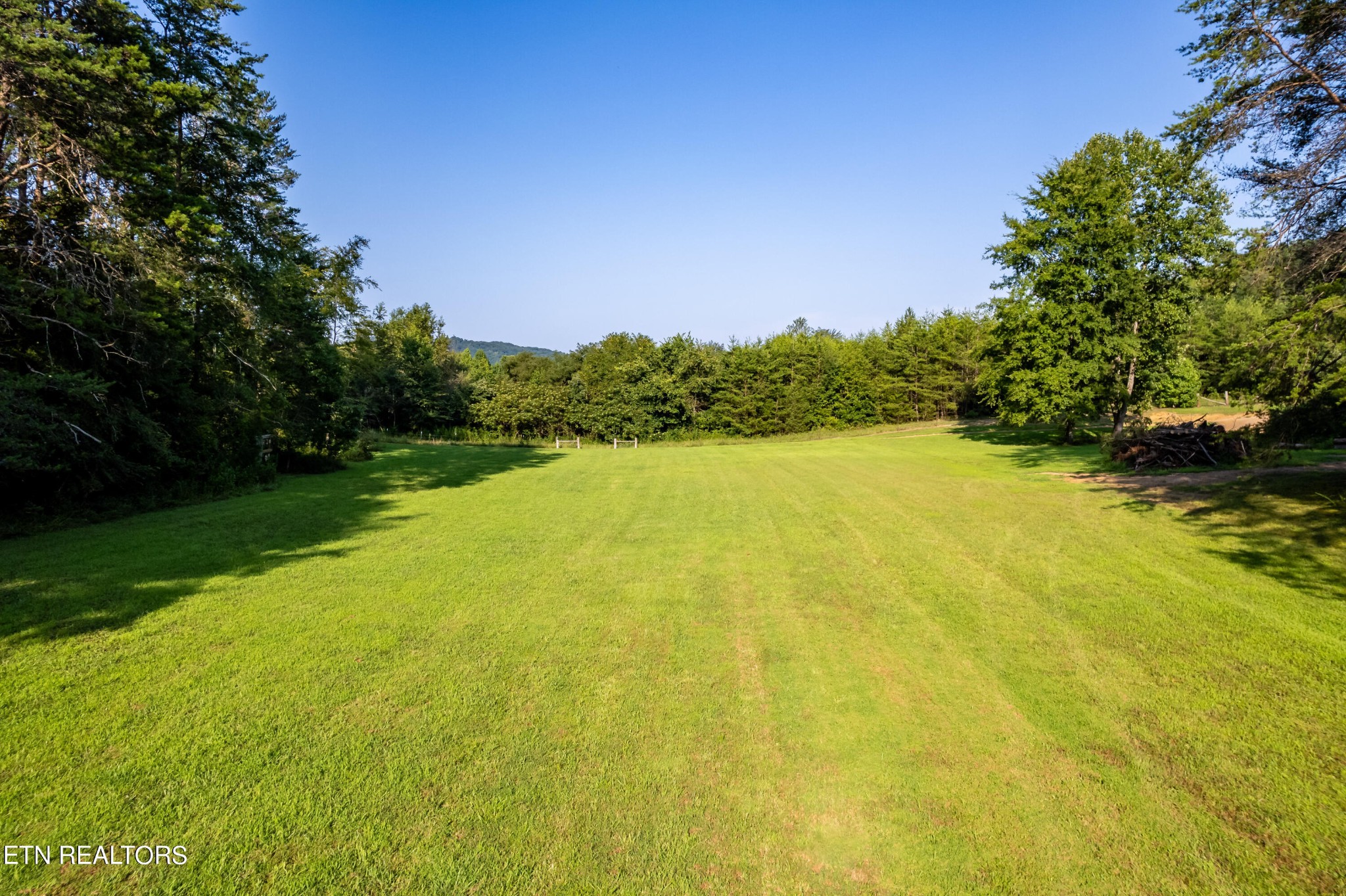 1404 Little Valley Road Blaine, TN 37709 - Photo 51 of 55