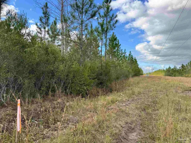 $145,000 | 0 Hwy 71 Blountstown, Unit LOTS 46 & 47, Altha, FL 32421