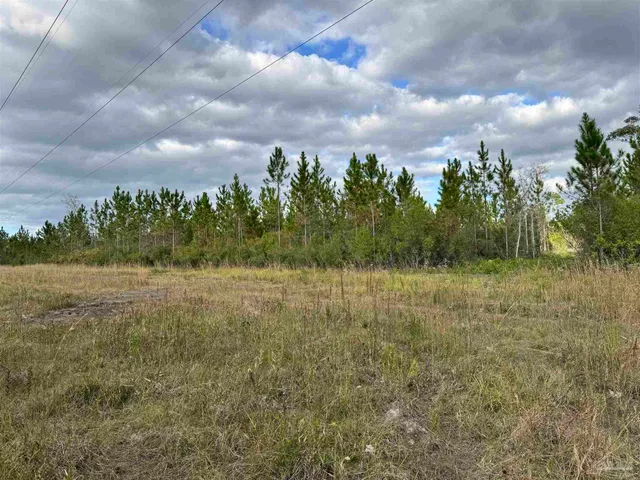 $145,000 | 0 Hwy 71 Blountstown, Unit LOTS 46 & 47, Altha, FL 32421