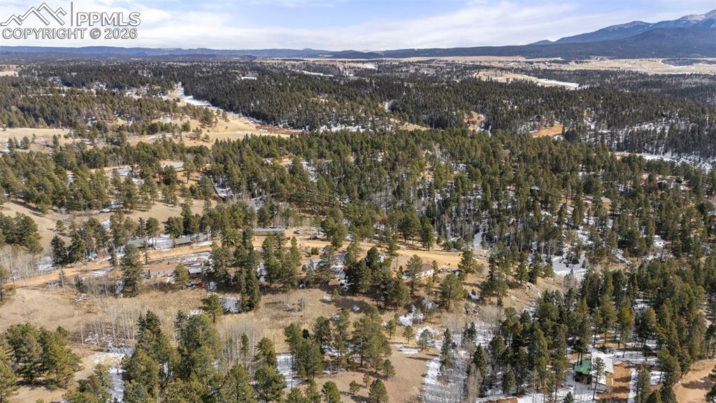 171 Star View Trail Divide, CO 80814 - Photo 28 of 32
