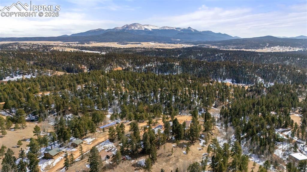 171 Star View Trail Divide, CO 80814 - Photo 29 of 32