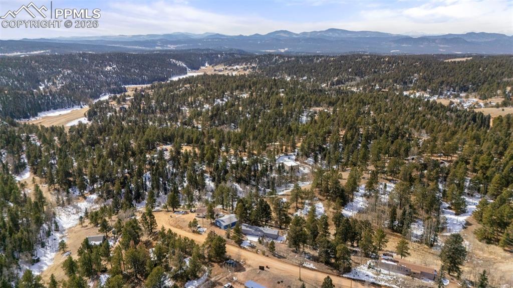 171 Star View Trail Divide, CO 80814 - Photo 31 of 32