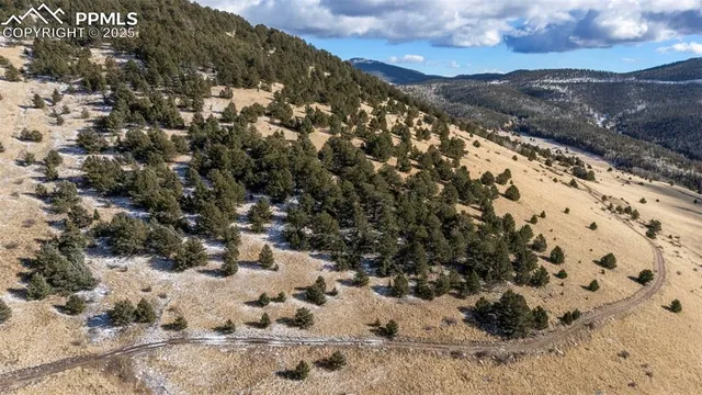 a view of a dry yard covered with snow in the background
