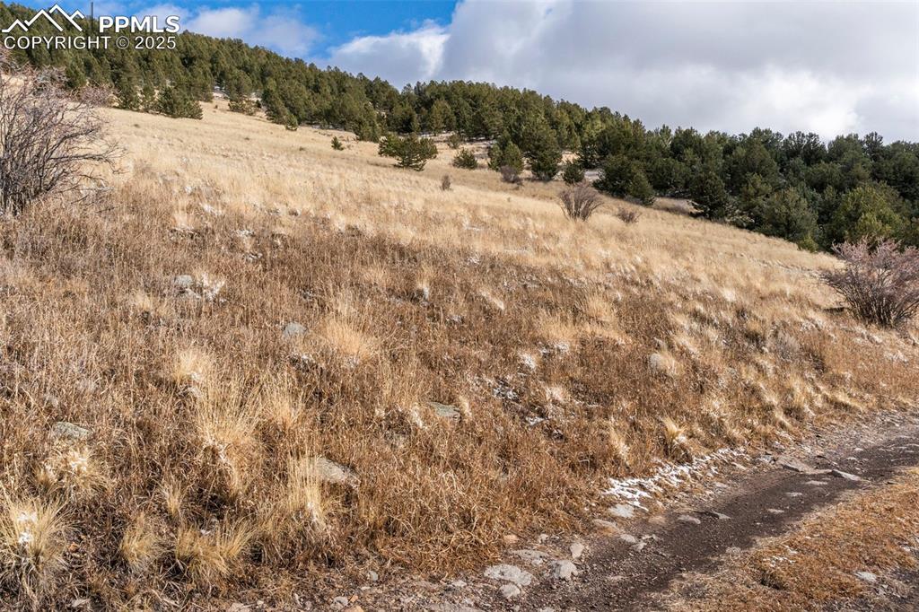 Private Road Cripple Creek, CO 80813 - Photo 11 of 19 a view of mountain view with mountains in the background