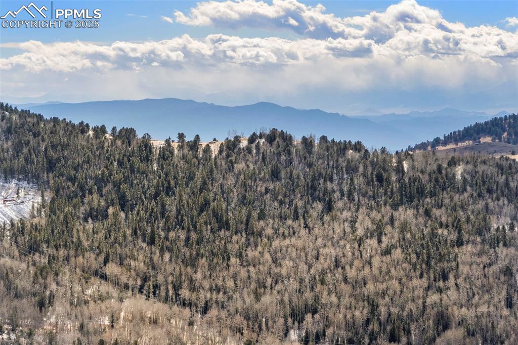 Private Road Cripple Creek, CO 80813 - Photo 16 of 19 a view of a bunch of trees in a field