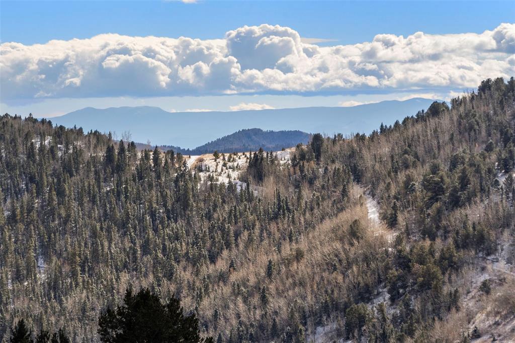 Private Road Cripple Creek, CO 80813 - Photo 17 of 19