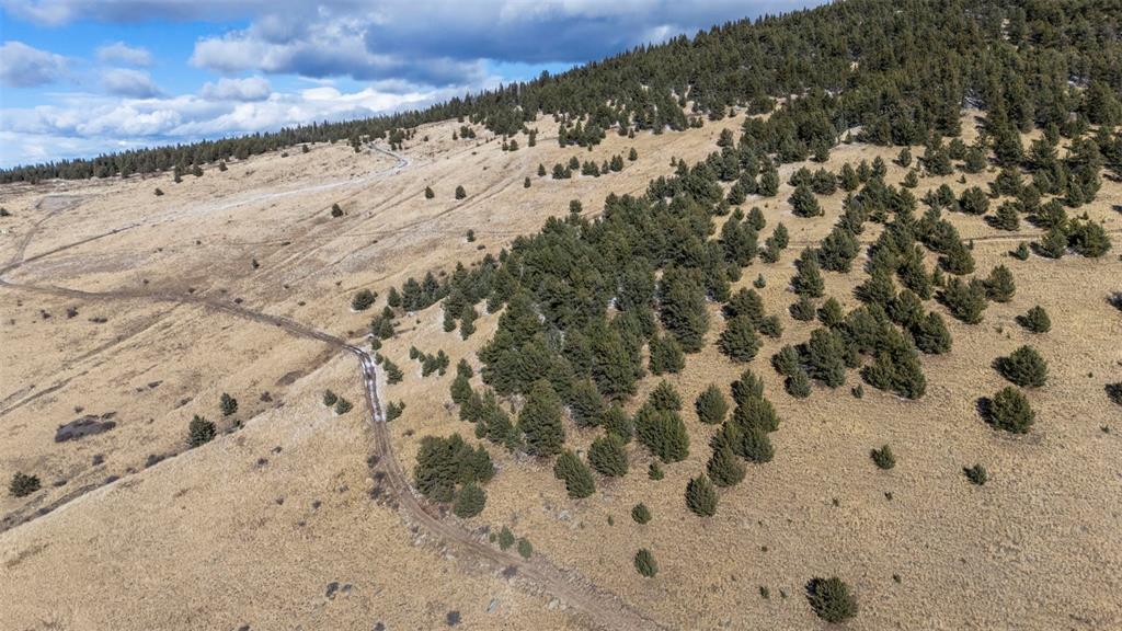 Private Road Cripple Creek, CO 80813 - Photo 2 of 19 a view of a snow on the snow
