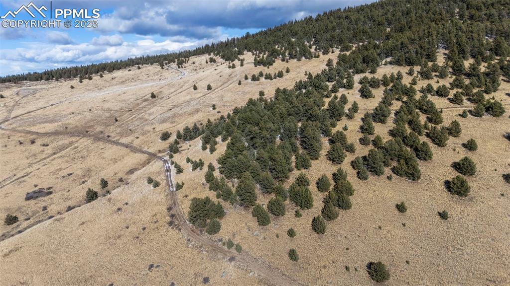 Private Road Cripple Creek, CO 80813 - Photo 2 of 19 a view of a snow on the snow