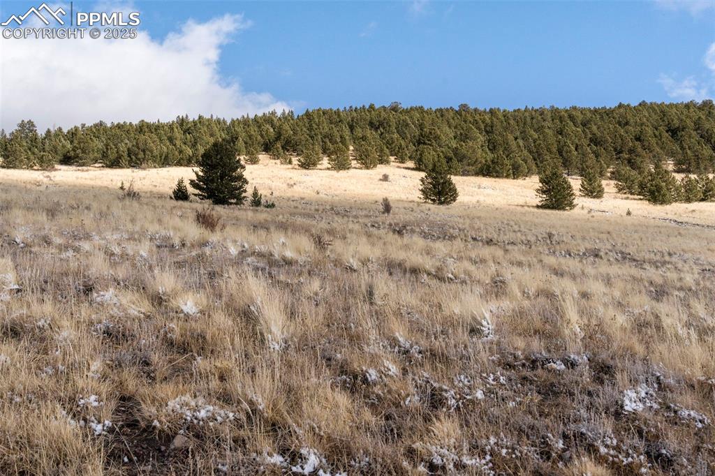 Private Road Cripple Creek, CO 80813 - Photo 6 of 19 a view of outdoor space with mountain view