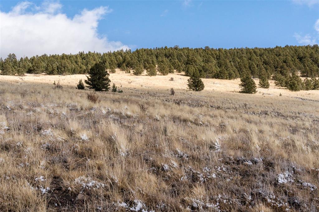 Private Road Cripple Creek, CO 80813 - Photo 6 of 19 a view of outdoor space with mountain view