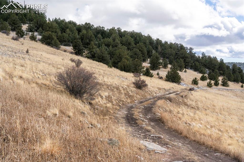 Private Road Cripple Creek, CO 80813 - Photo 7 of 19 a view of a snow on the side of a road