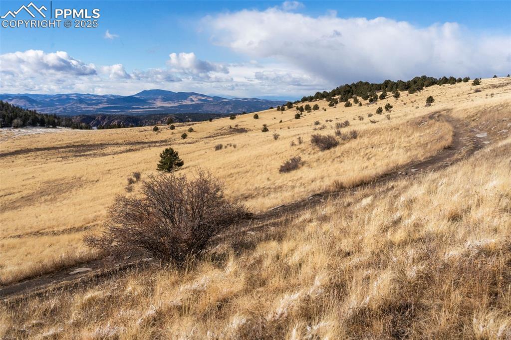 Private Road Cripple Creek, CO 80813 - Photo 8 of 19 a view of a dry yard