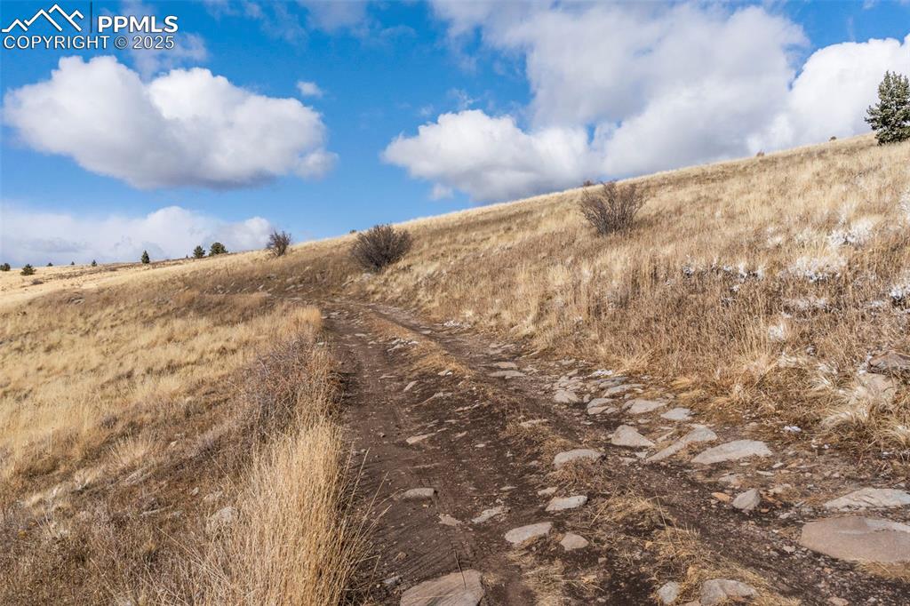 Private Road Cripple Creek, CO 80813 - Photo 10 of 19 a view of a dry yard with a street