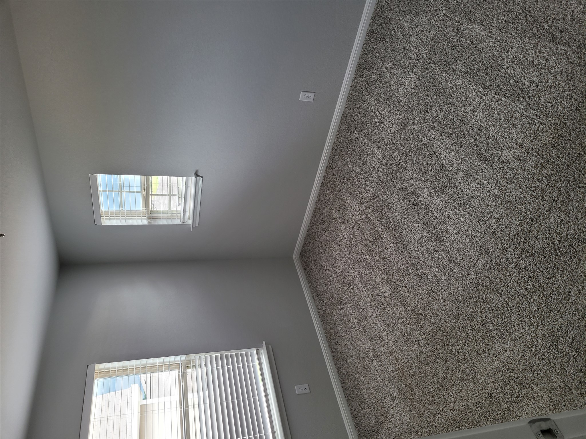131 Wild Wind Cove Jarrell, TX 76537 - Photo 20 of 26 Plush gray carpeting with white baseboards and light gray walls