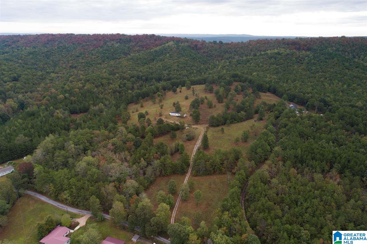 320 House Road Remlap, AL 35133 - Photo 22 of 35 Gallery Image 22