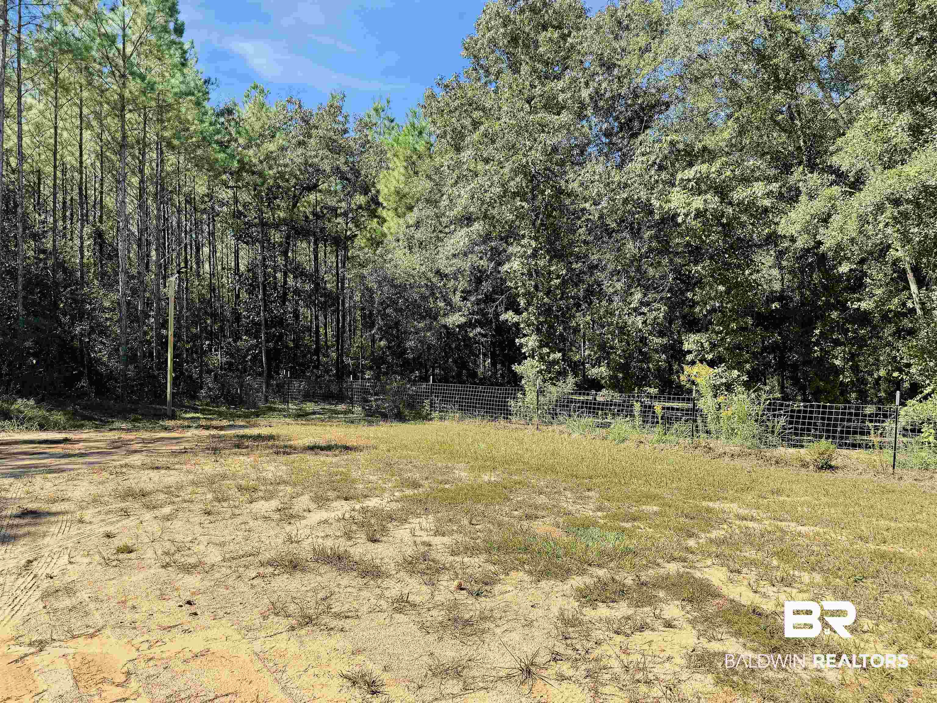 30687 Brady Road Robertsdale, AL 36567 - Photo 41 of 53 This is a view of the property from the house facing south west.