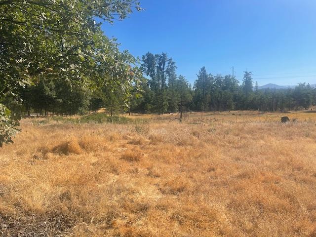 a view of open field with trees in background
