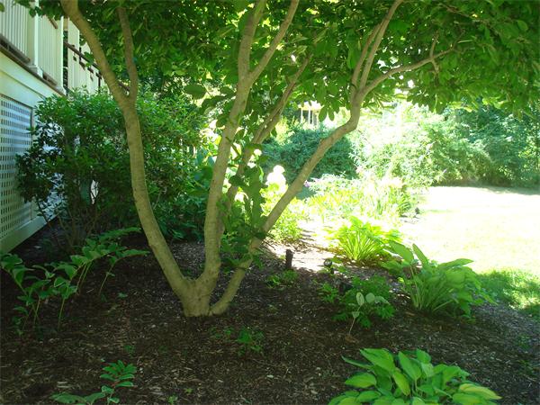 99 Glendale Road Sharon, MA 02067 - Photo 28 of 29 Gallery Image 28