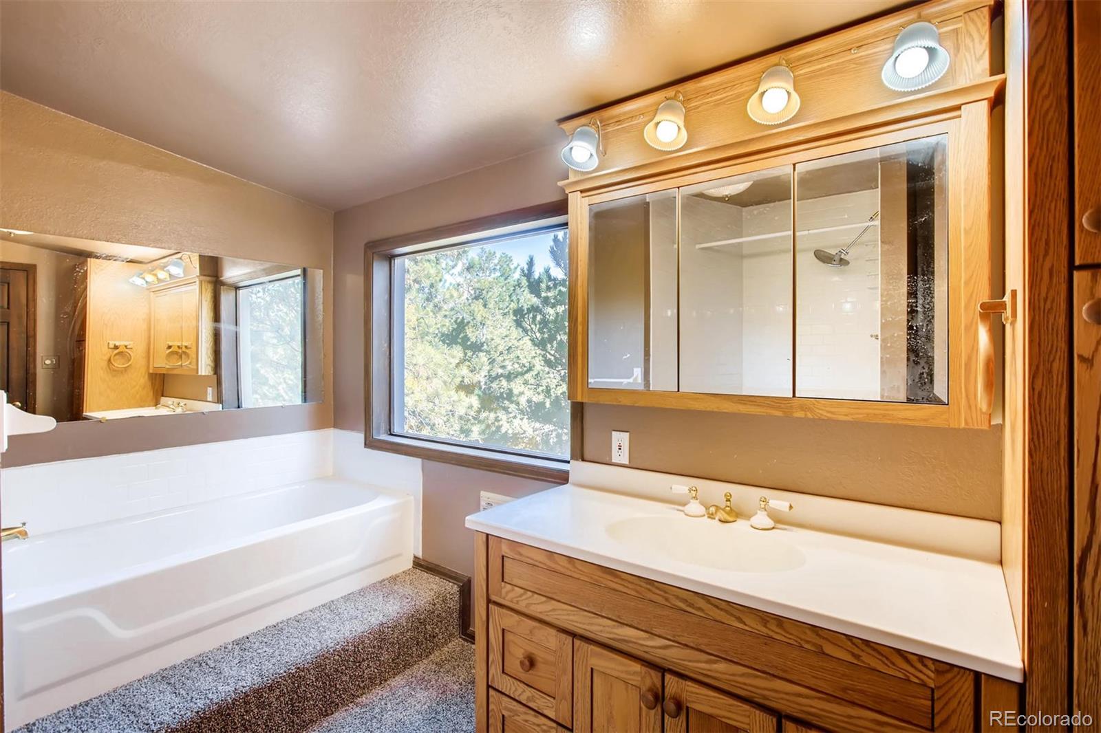 1885 Roland Drive Bailey, CO 80421 - Photo 14 of 27 Gallery Image 14
