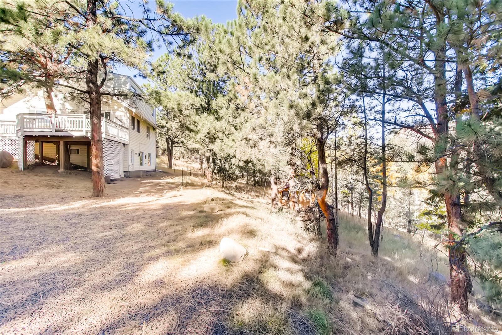 1885 Roland Drive Bailey, CO 80421 - Photo 26 of 27 Gallery Image 26