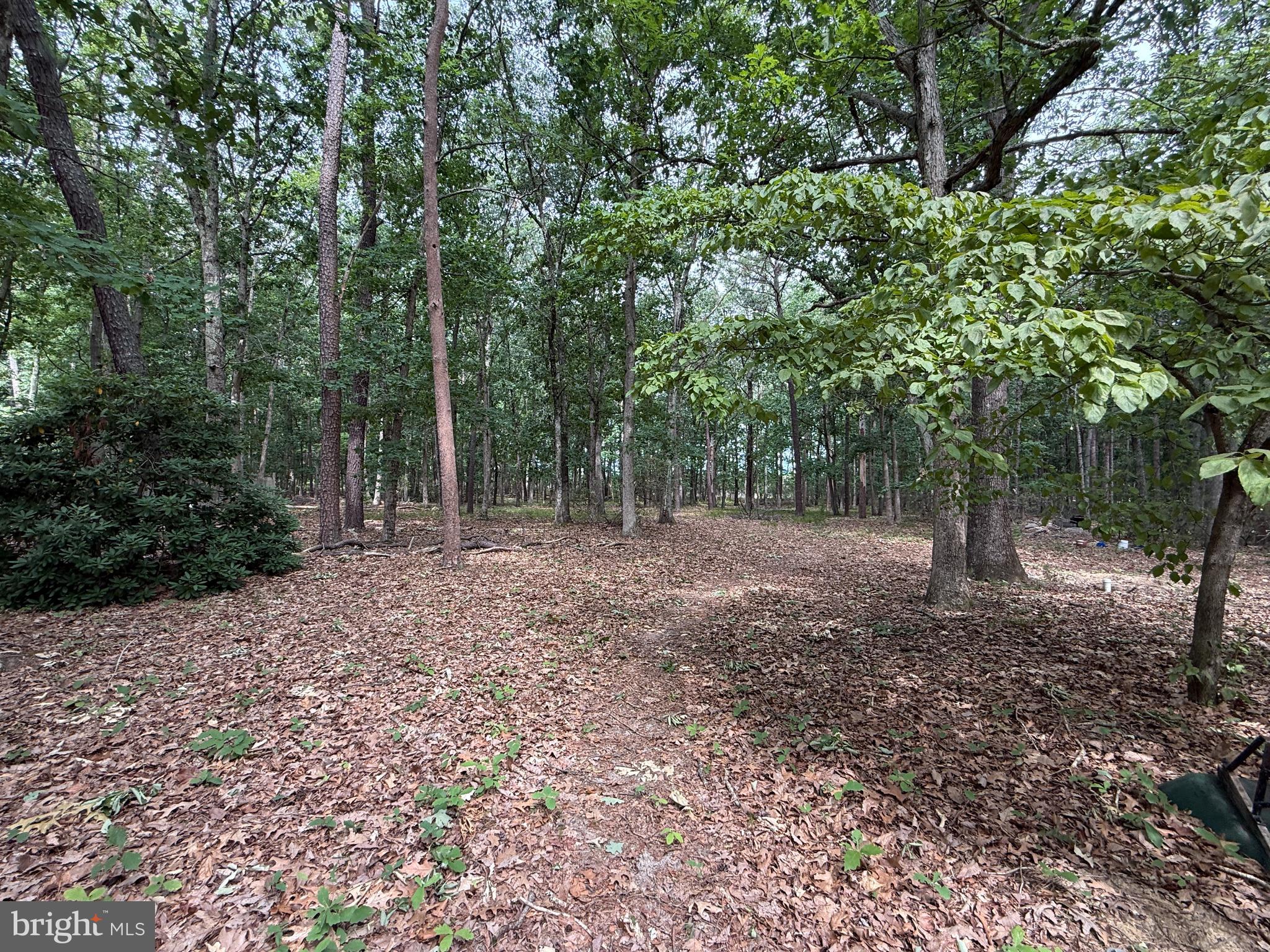 227 Oakshade Road Tabernacle, NJ 08088 - Photo 4 of 16