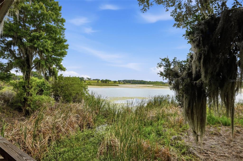 18610 Townsend House Road Dade City, FL 33523 - Photo 74 of 93 a view of a lake from a yard