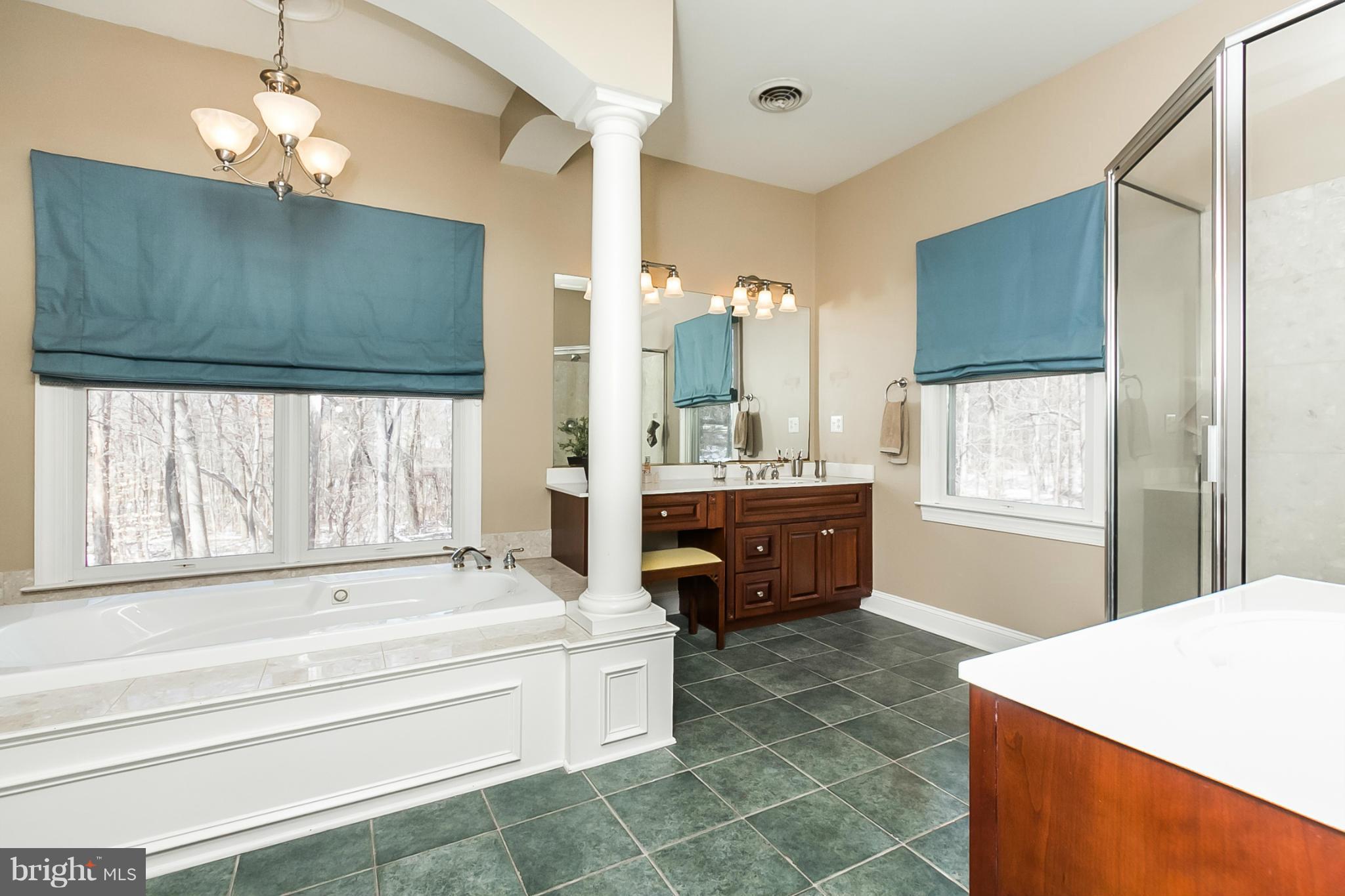 14514 Old York Road Phoenix, MD 21131 - Photo 14 of 24 a spacious bathroom with a tub sink and mirror