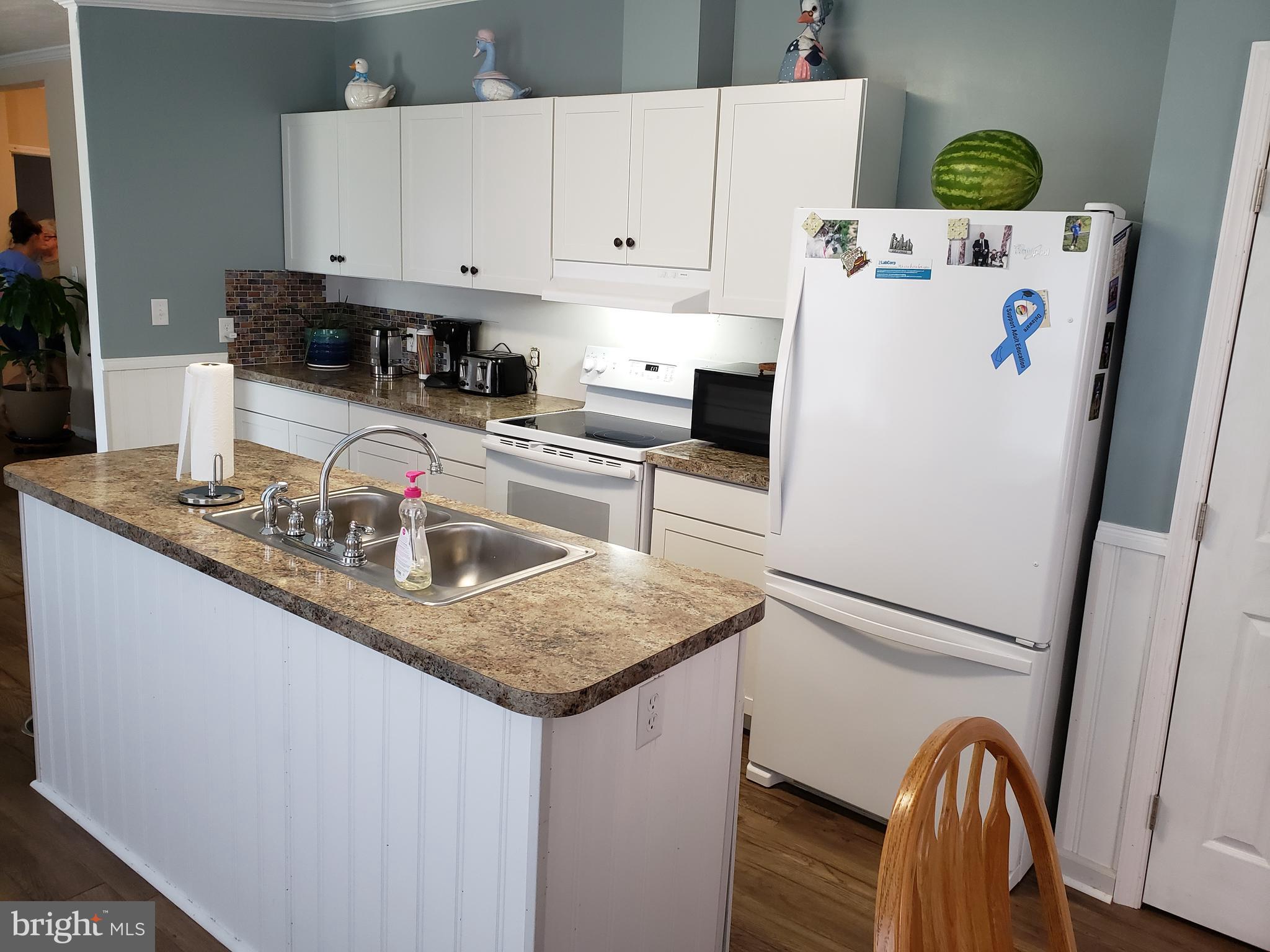 16802 Beaver Dam Road Ellendale, DE 19941 - Photo 3 of 10 Kitchen