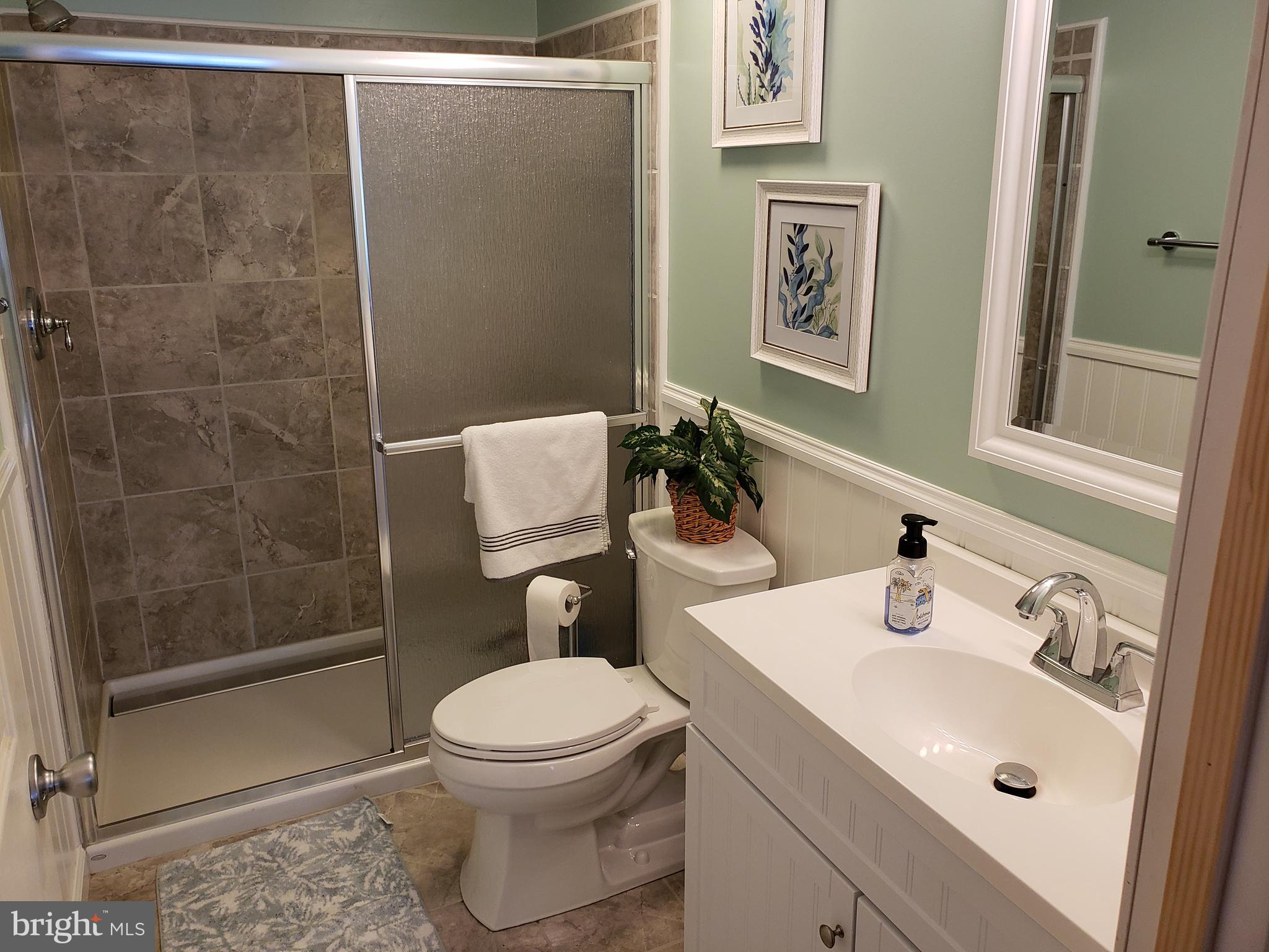 16802 Beaver Dam Road Ellendale, DE 19941 - Photo 9 of 10 bathroom
