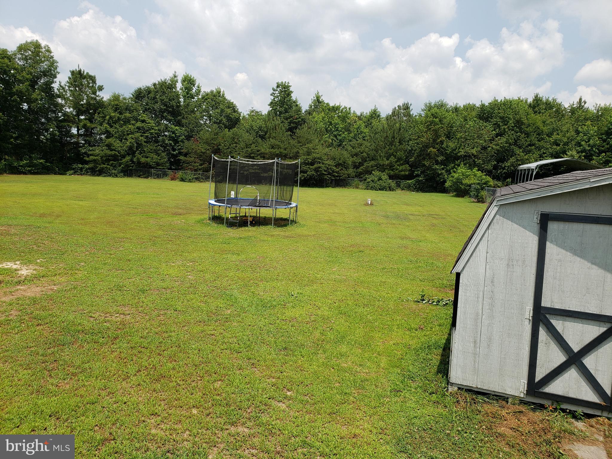 16802 Beaver Dam Road Ellendale, DE 19941 - Photo 10 of 10 backyard