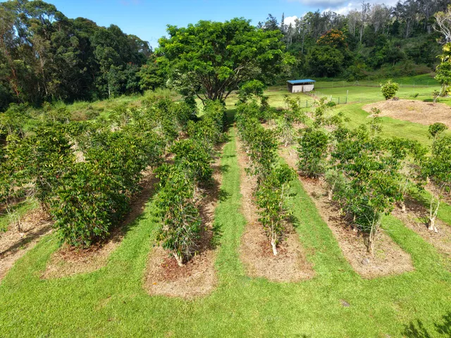 a backyard of a house with lots of green space