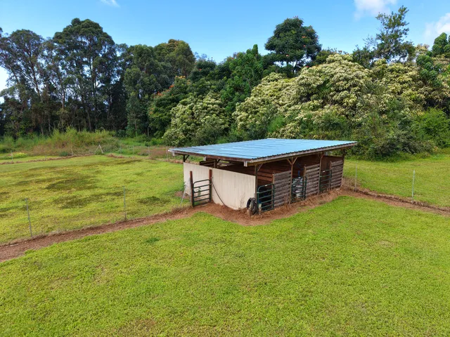an aerial view of a house with yard and green space